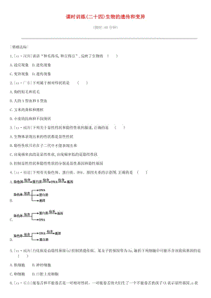 2019年中考生物 專題復(fù)習(xí)六 生命的延續(xù) 發(fā)展和健康地生活 課時(shí)訓(xùn)練24 生物的遺傳和變異 新人教版.doc