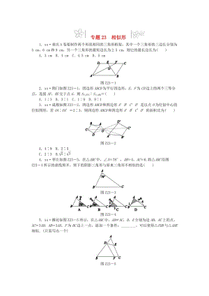 2019年中考數(shù)學(xué)專(zhuān)題復(fù)習(xí)小訓(xùn)練 專(zhuān)題23 相似形.doc