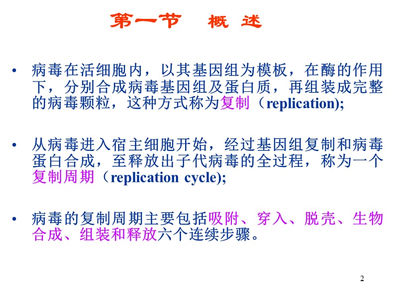 病毒复制ppt课件_第2页