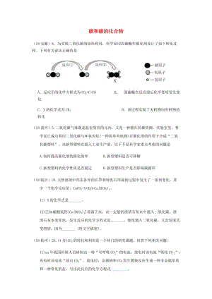 中考化學(xué)真題分類匯編 2 我們身邊的物質(zhì) 考點10 碳和碳的化合物 2 二氧化碳 1 性質(zhì)和用途 4 新信息題.doc