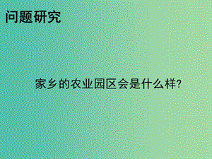 湖北省黃石市高中地理 第三章 農(nóng)業(yè)地域的形成與發(fā)展 問題研究 家鄉(xiāng)的農(nóng)業(yè)園區(qū)會是什么樣課件 新人教版必修2.ppt