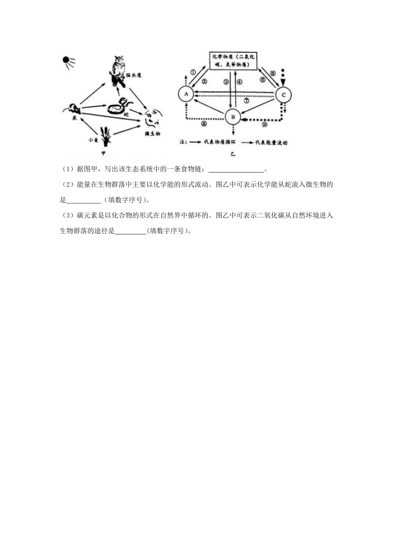 浙江省温州市中考科学（生物部分）真题试题（含答案）.doc_第3页