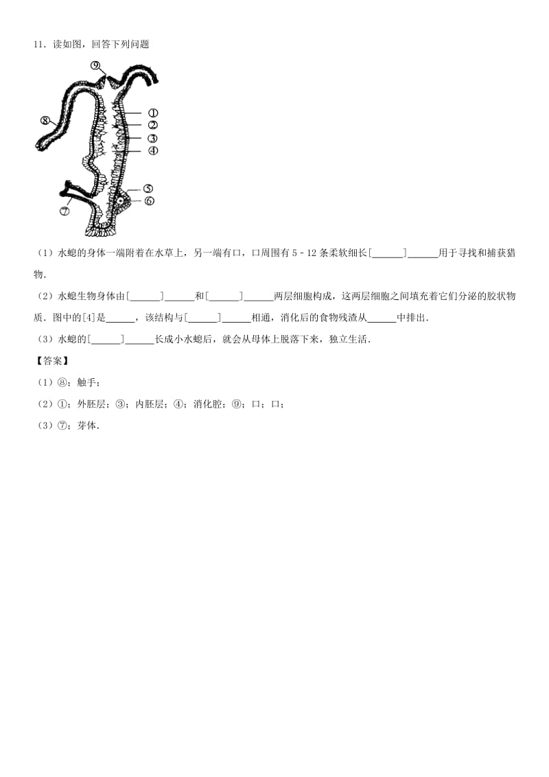 2018-2019学年八年级生物上册 5.1.1《腔肠动物》同步检测卷 （新版）新人教版.doc_第3页