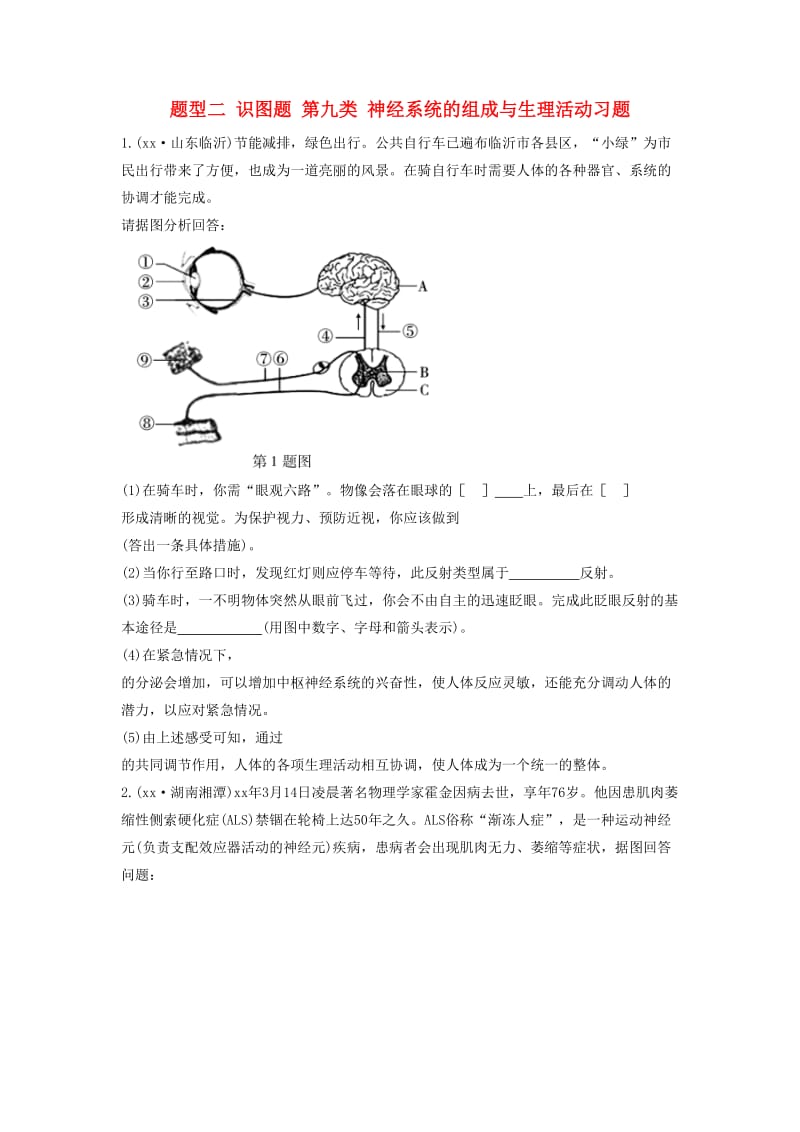 2019中考生物总复习 第二部分 重点题型探究 题型二 识图题 第九类 神经系统的组成与生理活动习题.doc_第1页