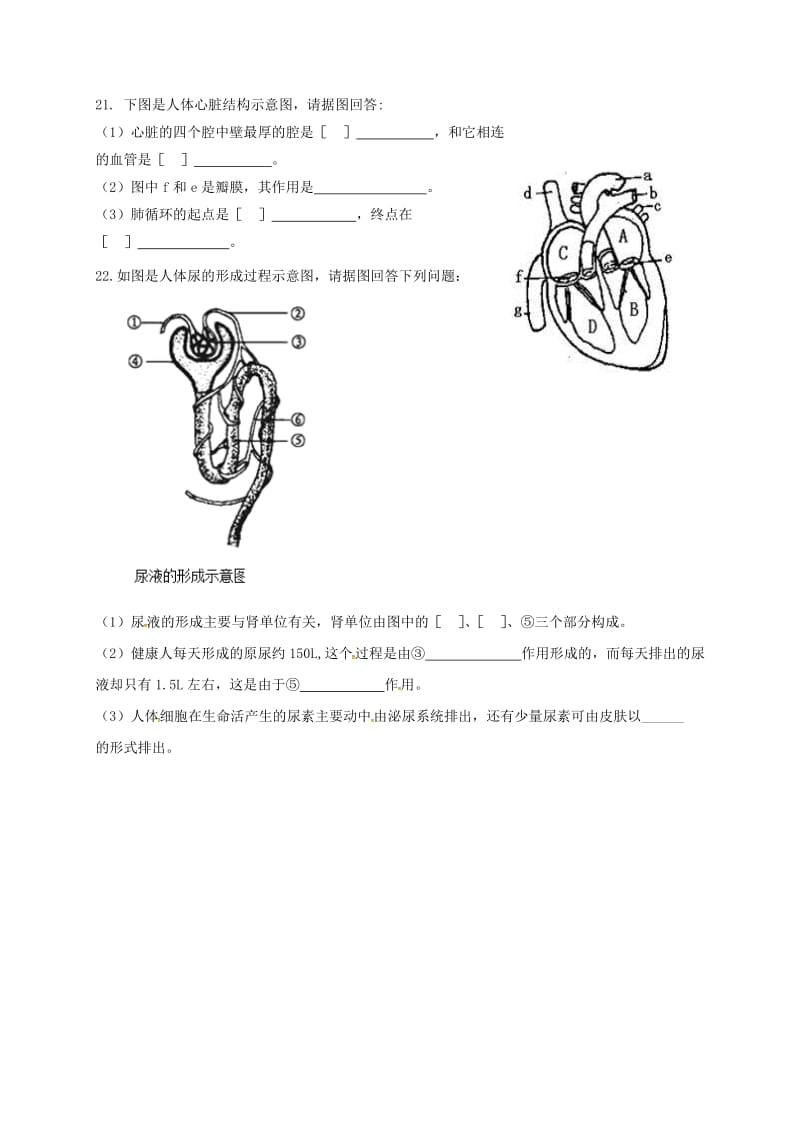 2019版七年级生物下学期暑假作业三 新人教版.doc_第3页