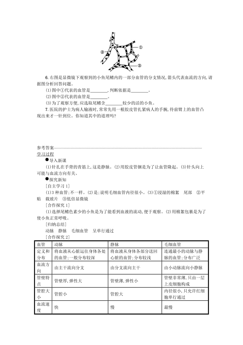 七年级生物下册 第四单元 第四章 第二节 血流的管道──血管学案设计 （新版）新人教版.doc_第3页