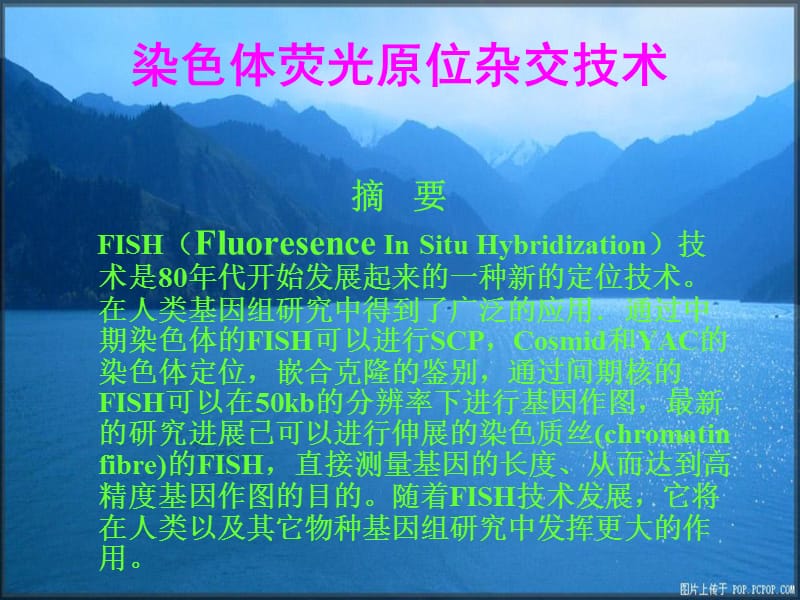 染色體熒光原位雜交技術.ppt_第1頁