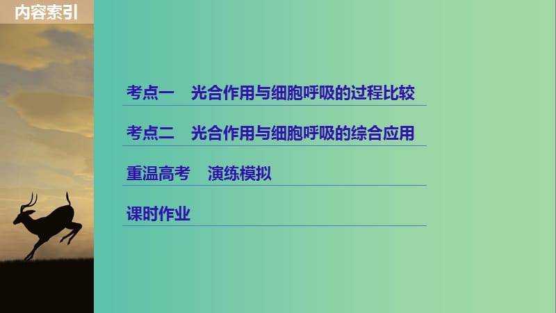 2020版高考生物新导学大一轮复习 第三单元 细胞的能量代谢 第10讲 光合作用与细胞呼吸的综合应用课件 北师大版.ppt_第3页