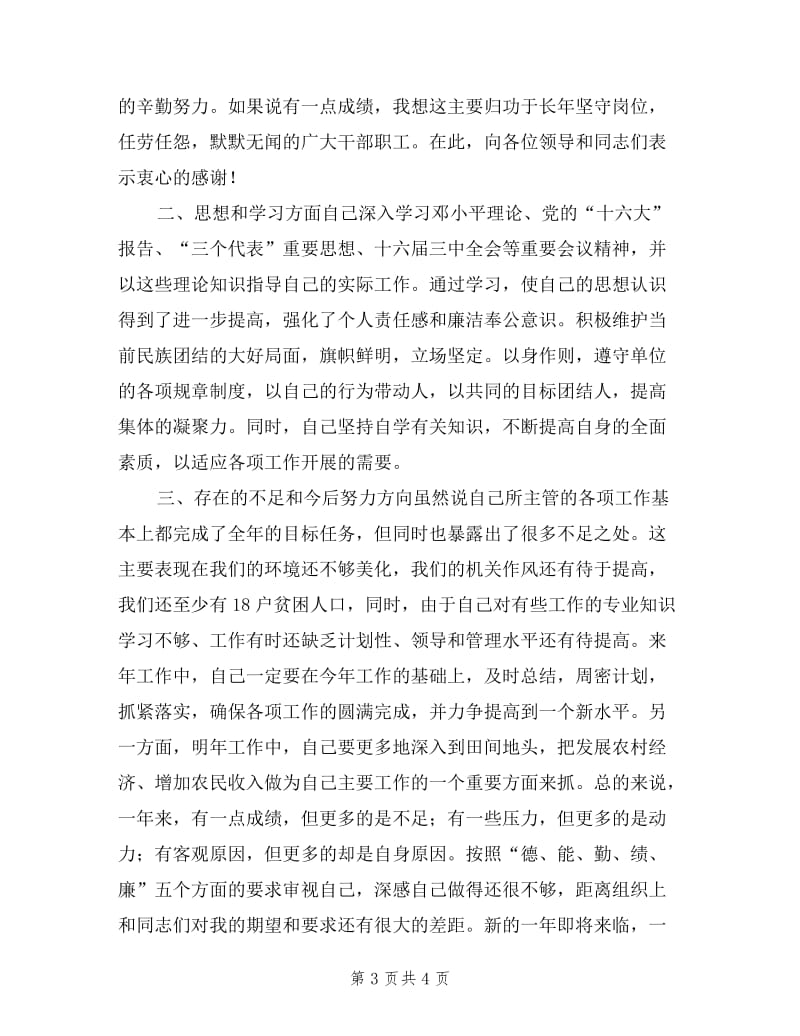 乡政府副乡长年终述职报告.doc_第3页