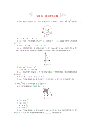 2019年中考數(shù)學(xué)專題復(fù)習(xí)小訓(xùn)練 專題21 圓的有關(guān)計(jì)算.doc