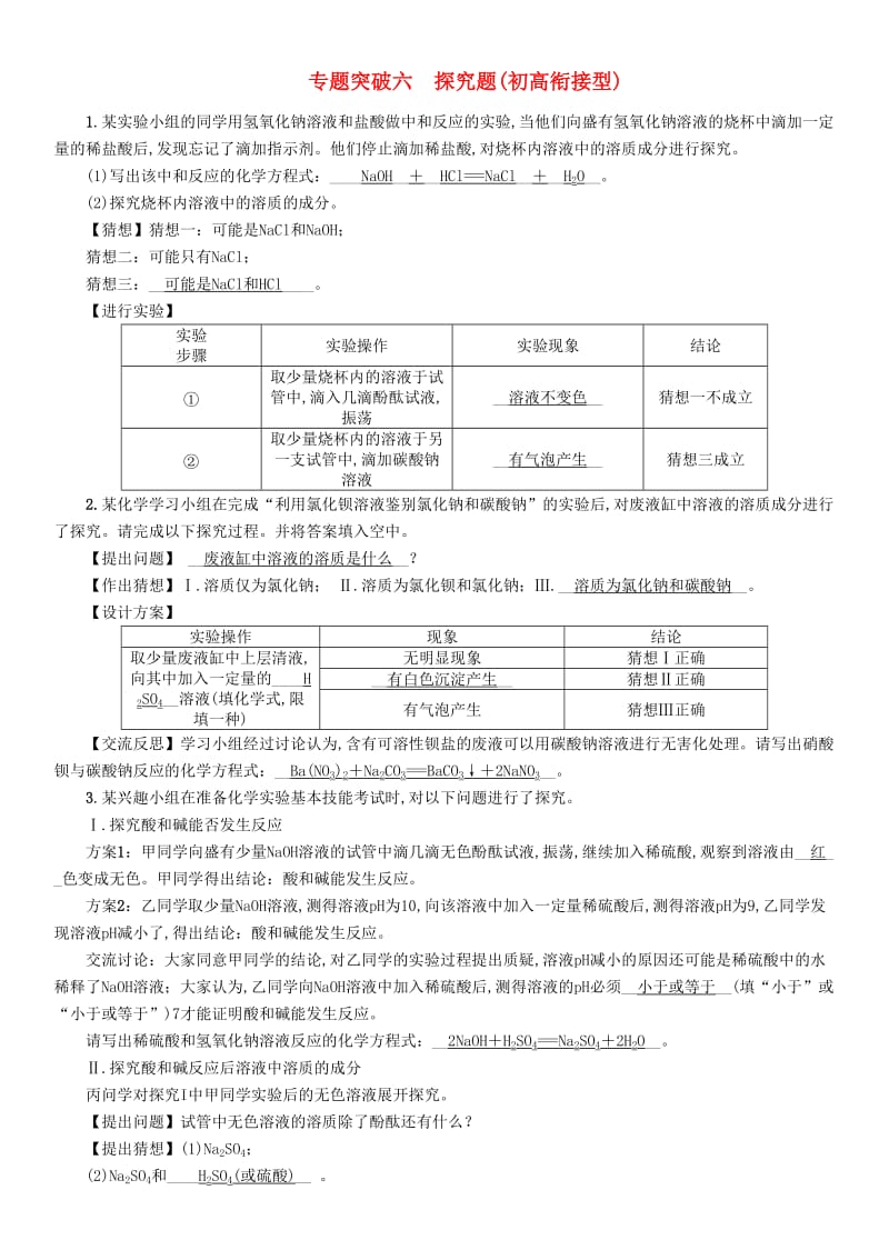 2019届中考化学毕业总复习 第2编 重点专题突破篇 专题突破6 探究题（初高衔接型）检测.doc_第1页