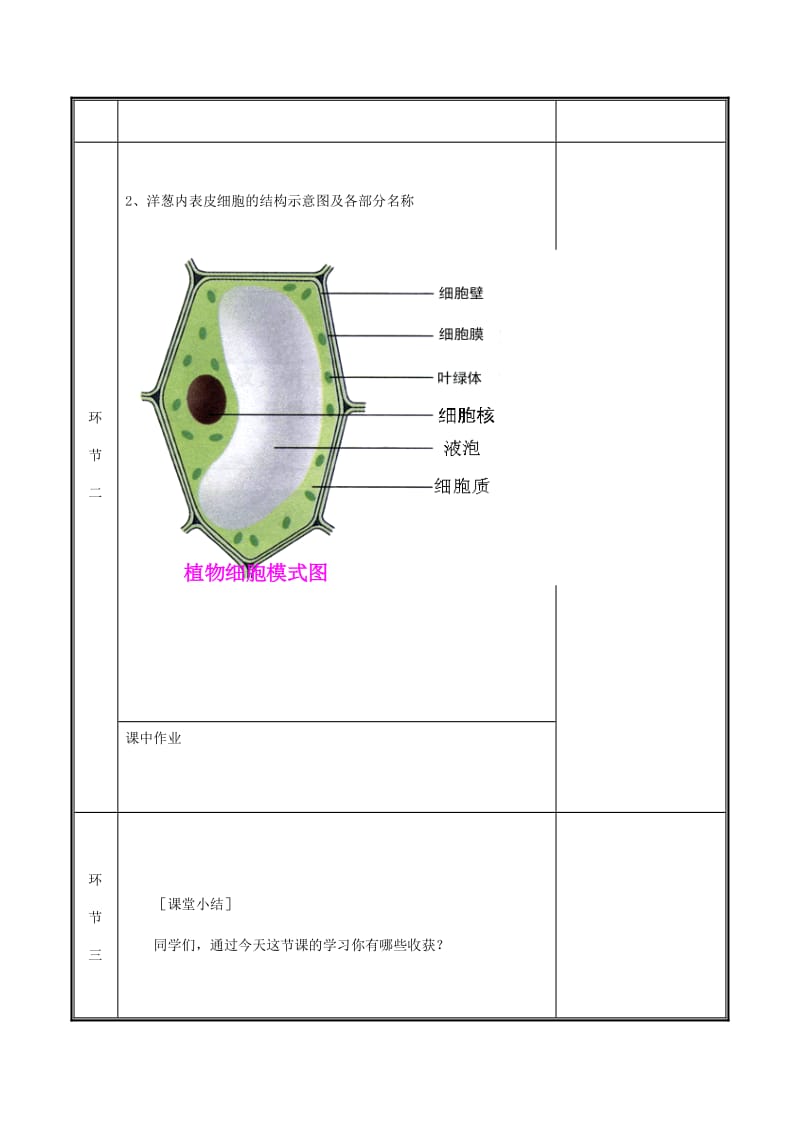 河南省七年级生物上册 2.1.2 植物细胞教案2 （新版）新人教版.doc_第3页
