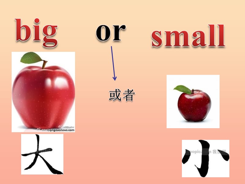 2019春三年级英语下册 Unit 1《Big or Small》单词教学课件 广东版开心.ppt_第2页