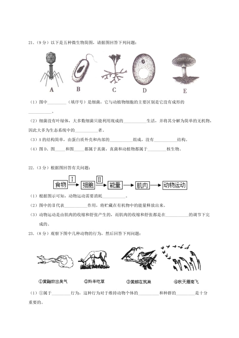 河南省八年级生物上学期期末考试试题新人教版.doc_第3页