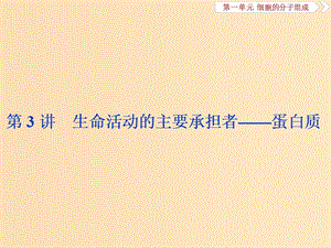 （人教通用版）2020版高考生物新探究大一輪復習 第3講 生命活動的主要承擔者——蛋白質a課件.ppt