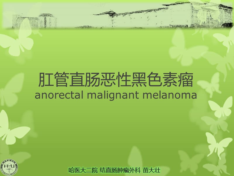 肛管直腸惡性黑色素瘤.ppt_第1頁(yè)