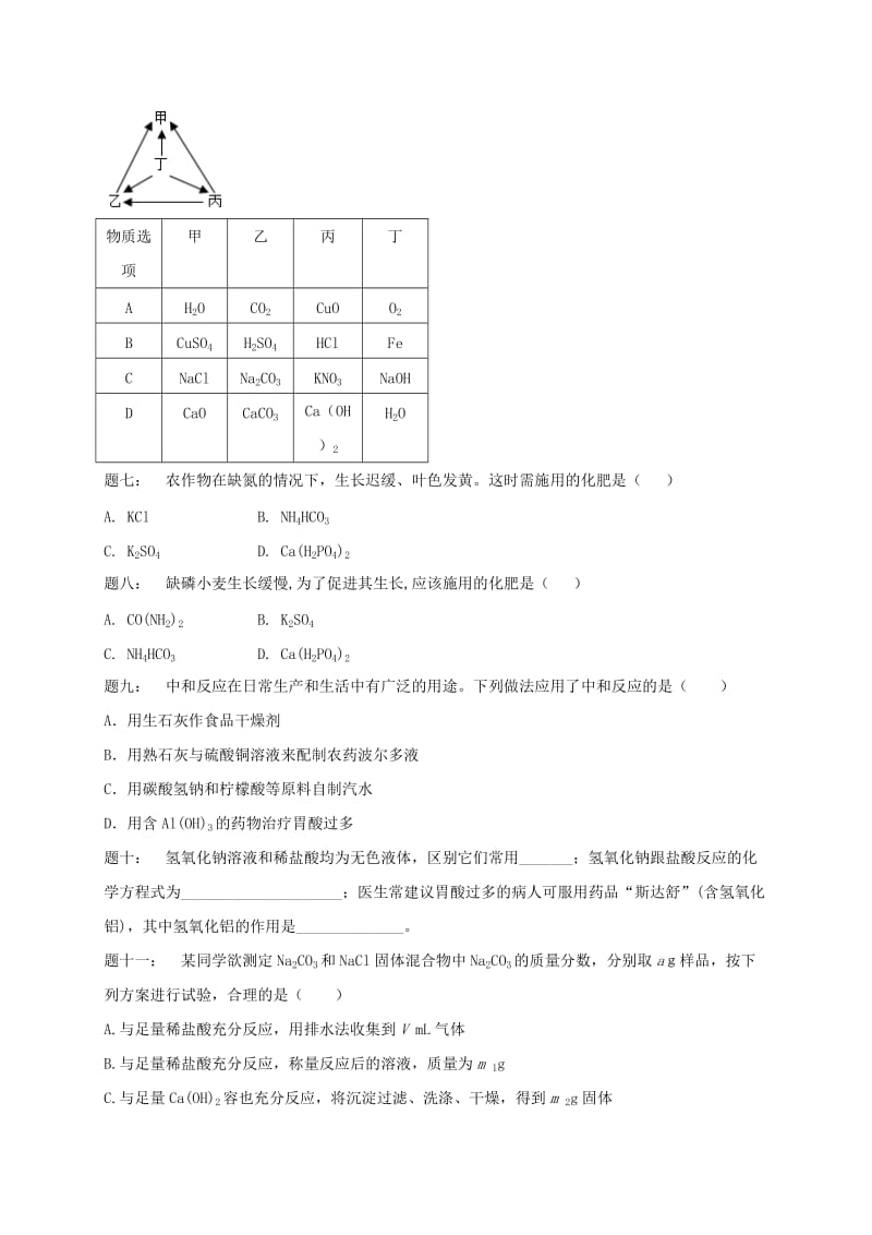 中考化学第二轮专题复习 第23讲 身边的化学物质-盐、化肥（经典精讲）课后练习.doc_第2页