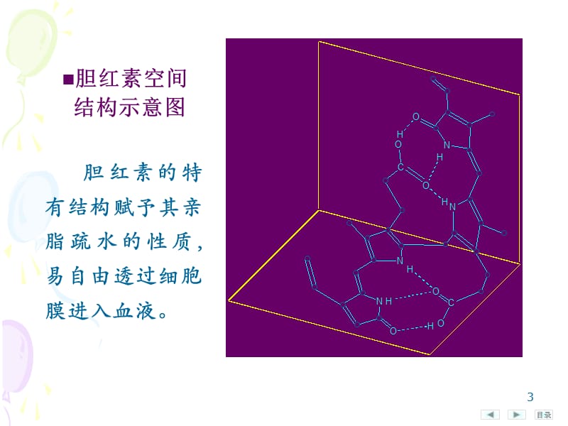 胆红素代谢ppt课件_第3页