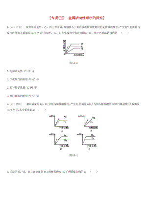 安徽省2019年中考化學(xué)復(fù)習(xí) 第一篇 基礎(chǔ)過關(guān)篇 專項(xiàng)05 金屬活動性順序的探究練習(xí).doc