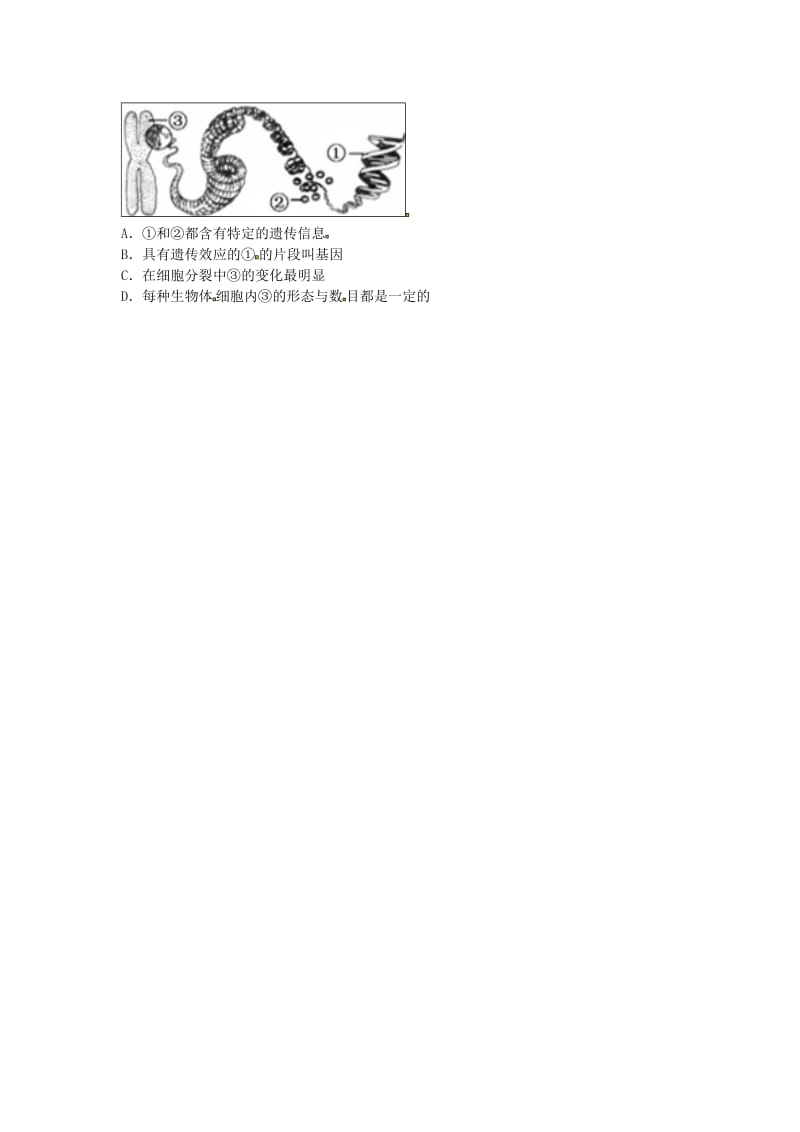 河南省永城市八年级生物下册 7.2.2《染色体、DNA和基因的关系》易错集训（新版）新人教版.doc_第2页