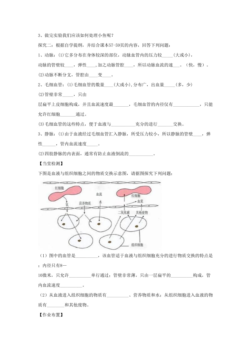 七年级生物下册 第四单元 第四章 第二节 血流的管道-血管学案（新版）新人教版.doc_第2页