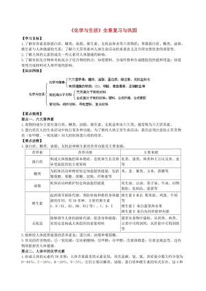 九年級(jí)化學(xué)下冊(cè)《化學(xué)與生活》（知識(shí)點(diǎn)總結(jié)+典例導(dǎo)析）全章復(fù)習(xí)與鞏固（含解析）（新版）新人教版.doc