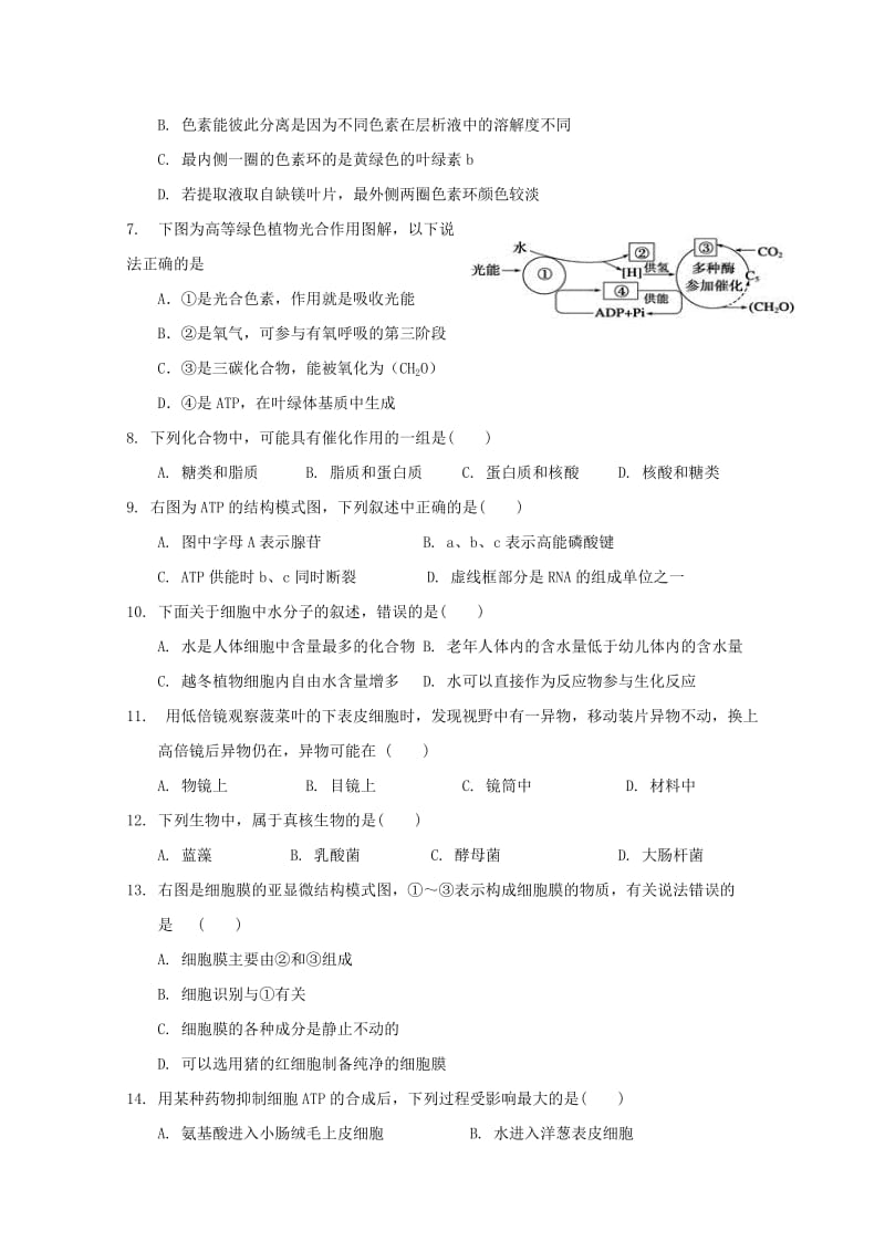 2018-2019学年高一生物11月月考试题 (II).doc_第2页