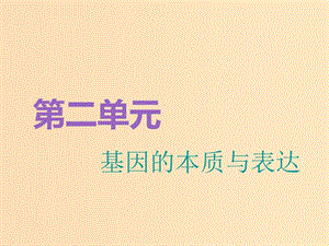 （全國(guó)通用版）2019版高考生物一輪復(fù)習(xí) 第2部分 遺傳與進(jìn)化 第二單元 基因的本質(zhì)與表達(dá) 第1講 DNA是主要的遺傳物質(zhì)精準(zhǔn)備考實(shí)用課件.ppt