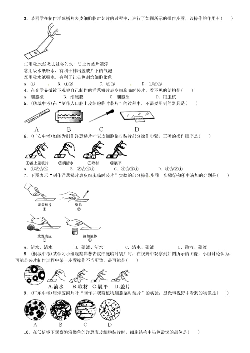 七年级科学上册 第2章 观察生物 分组实验 观察动物细胞和植物细胞习题 （新版）浙教版.doc_第2页