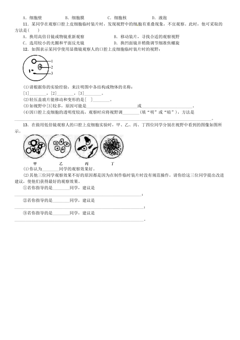 七年级科学上册 第2章 观察生物 分组实验 观察动物细胞和植物细胞习题 （新版）浙教版.doc_第3页