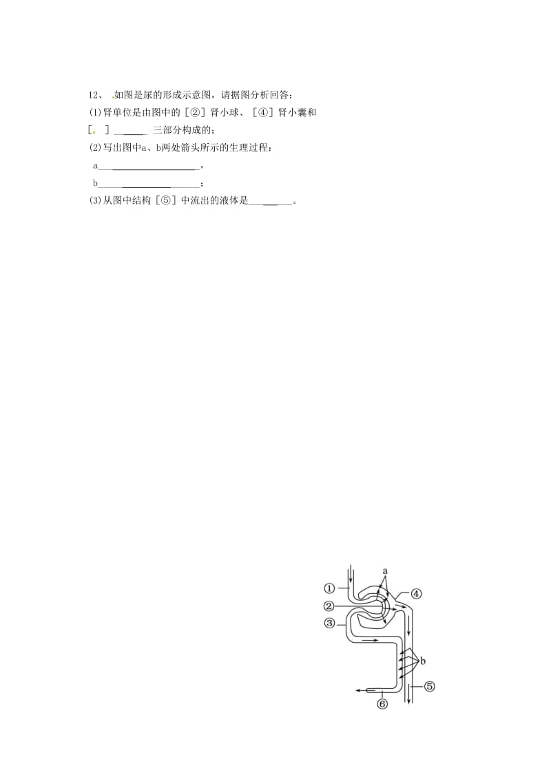 辽宁省鞍山市七年级生物下册 第十一章 第二节 人体废物的排出第22课时学案（新版）苏教版.doc_第3页