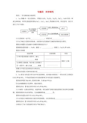 廣東省2019年中考化學總復習 第2部分 專題4 科學探究優(yōu)化訓練.doc