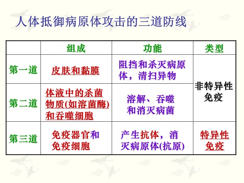 疫调节第二课时公开课.ppt_第2页