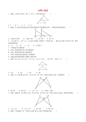 中考數(shù)學(xué)專項(xiàng)復(fù)習(xí) 全等三角形綜合訓(xùn)練.doc