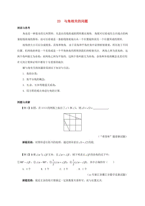 七年級數(shù)學(xué)下冊 培優(yōu)新幫手 專題23 與角相關(guān)的問題試題 （新版）新人教版.doc