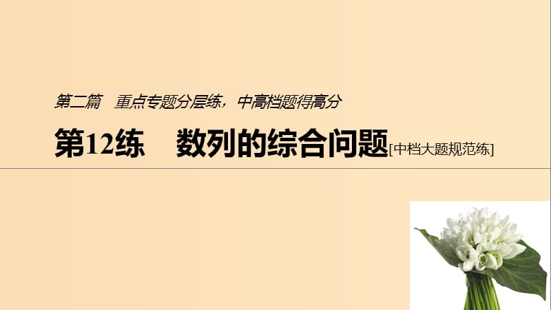 （通用版）2019高考数学二轮复习 第二篇 第12练 数列的综合问题课件 文.ppt_第1页