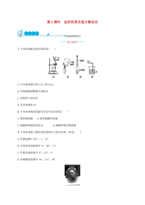 九年級(jí)化學(xué)下冊(cè) 第十一單元 鹽 化肥 11.1 生活中常見的鹽 第2課時(shí) 鹽的性質(zhì)及復(fù)分解反應(yīng)練習(xí) 新人教版.doc