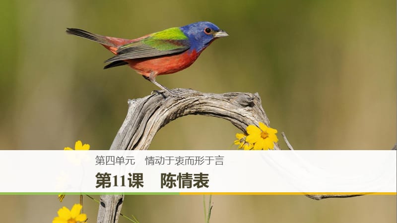 （豫寧）2018-2019版高中語(yǔ)文 第四單元 情動(dòng)于衷而形于言 第11課 陳情表課件 語(yǔ)文版必修1.ppt_第1頁(yè)