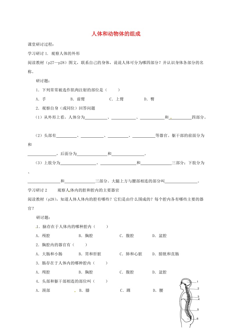 江苏省铜山区七年级生物下册 9.2 人体和动物体的组成导学案（新版）苏科版.doc_第1页