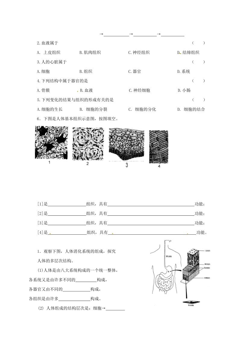 江苏省铜山区七年级生物下册 9.2 人体和动物体的组成导学案（新版）苏科版.doc_第3页