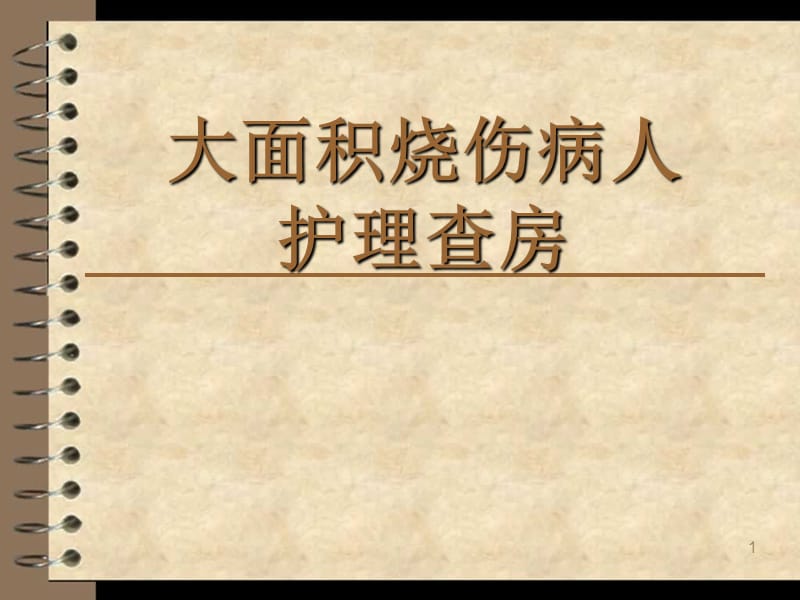 大面积烧伤护理查房ppt课件_第1页