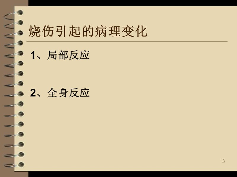 大面积烧伤护理查房ppt课件_第3页