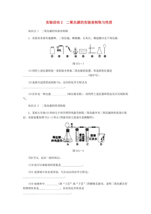 九年級化學(xué)上冊 實驗活動2 二氧化碳的實驗室制取與性質(zhì)同步練習(xí) （新版）新人教版.doc