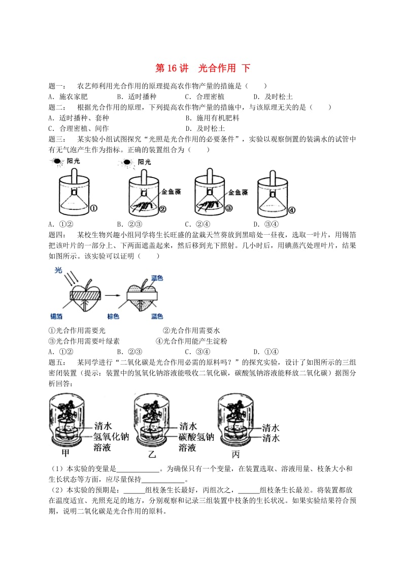 江苏省大丰市七年级生物上册 第16讲 光合作用（下）练习 苏教版.doc_第1页