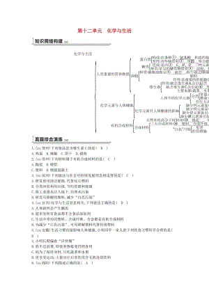 九年級(jí)化學(xué)下冊(cè) 第十二單元 化學(xué)與生活練習(xí) （新版）新人教版.doc