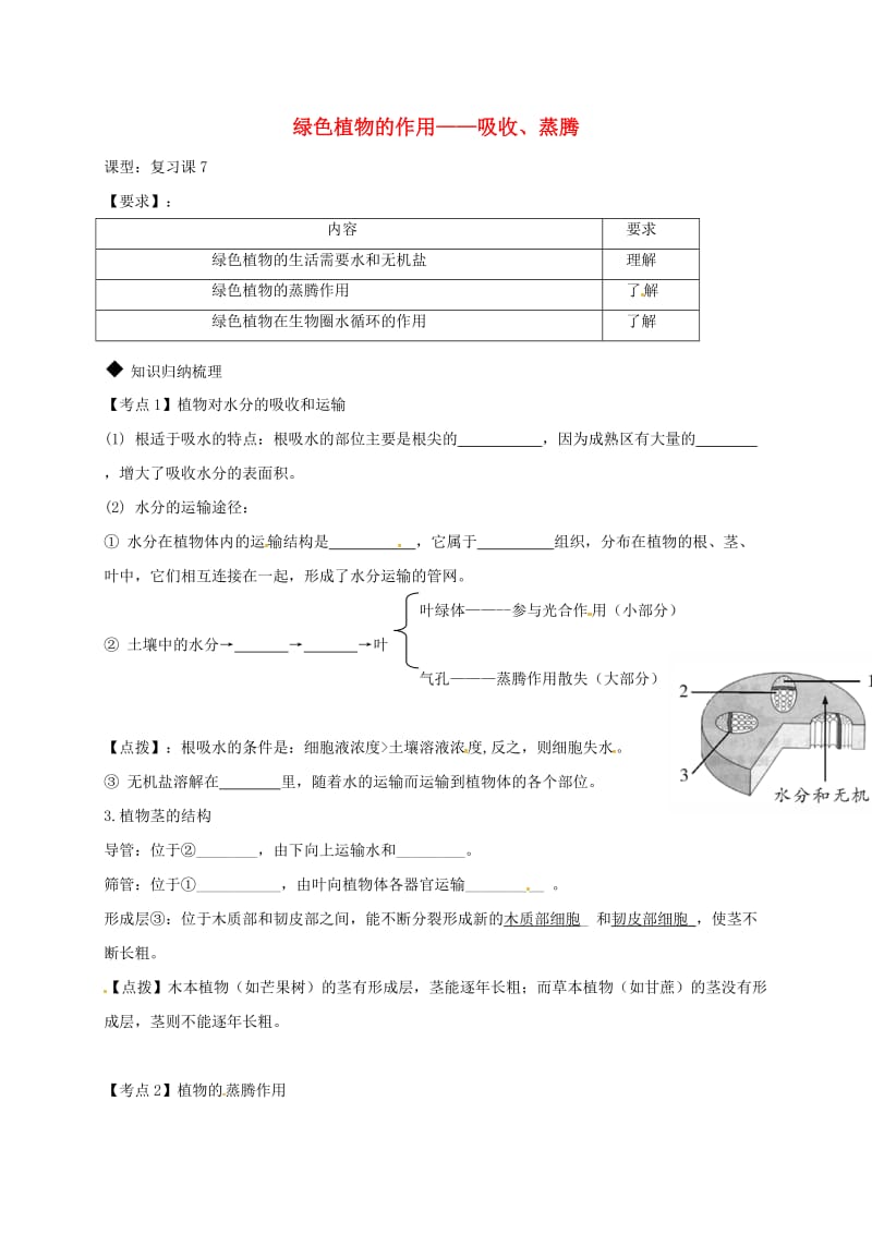 广东省河源市七年级生物上册 3.3绿色植物的作用-吸收、蒸腾教案 （新版）新人教版.doc_第1页