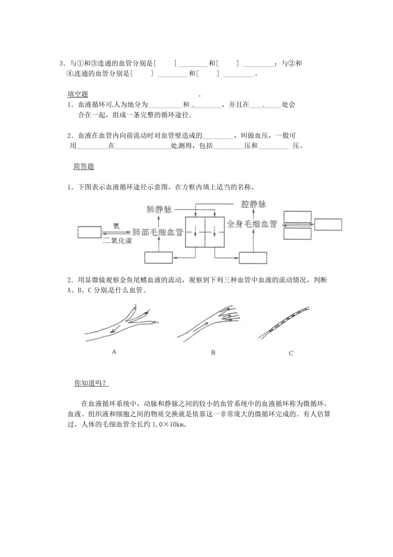 七年级生物下册 10.2血液循环同步测试（新版）苏教版.doc_第2页