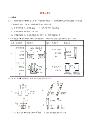 中考化學(xué)知識(shí)分類練習(xí)卷 燃燒與滅火.doc