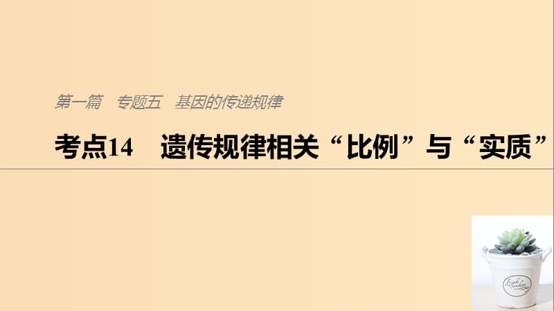 （通用版）2019版高考生物二轮复习 专题五 基因的传递规律 考点14 遗传规律相关“比例”与“实质”课件.ppt_第1页