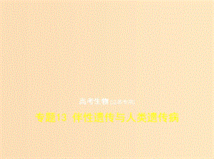 （江蘇專(zhuān)版）2019版高考生物一輪復(fù)習(xí) 專(zhuān)題13 伴性遺傳與人類(lèi)遺傳病課件.ppt